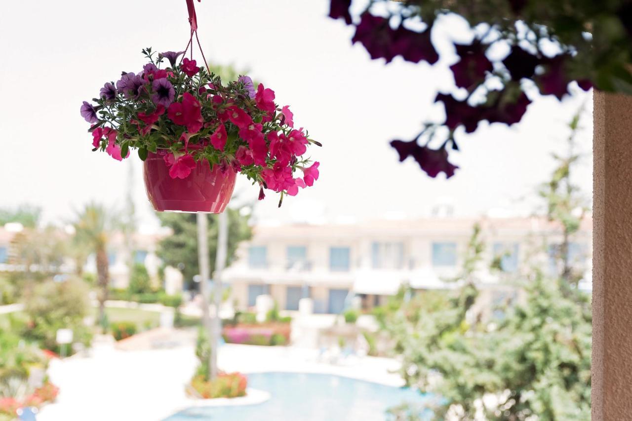 Holiday Apartment Walking Distance To The Sea Paphos ภายนอก รูปภาพ